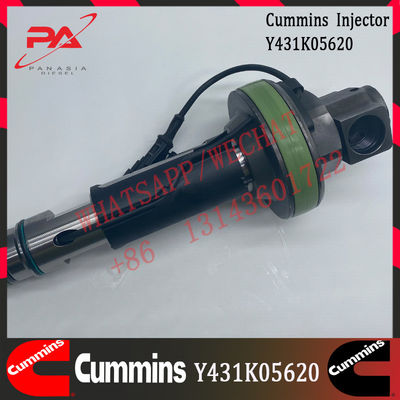 CUMMINS QSK19 आम रेल ईंधन पेंसिल इंजेक्टर Y431K05620 . के लिए डीजल
